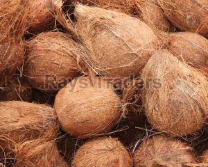 Natural Semi Husked Coconut