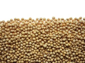 Soybeans