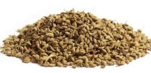 Ajwain Bishop Seeds