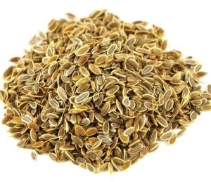 Dill Seeds