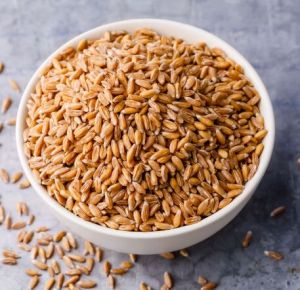 Natural Wheat Grain