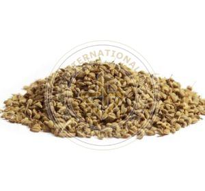 Ajwain Bishop Seeds