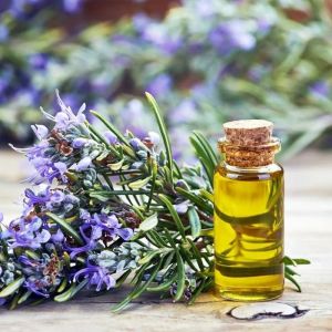 Rosemary Oil