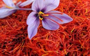 Natural Iran Saffron