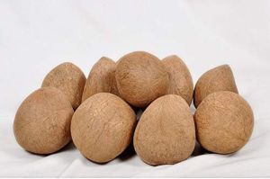 A Grade Coconut Copra