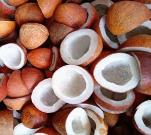 Natural Dry Coconut Copra