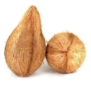 Natural Semi Husked Coconut