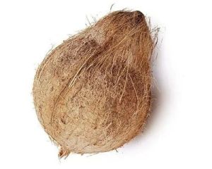 Solid Semi Husked Coconut