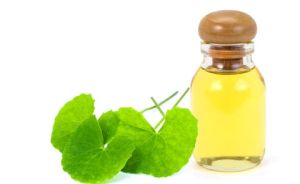 Brahmi Oil