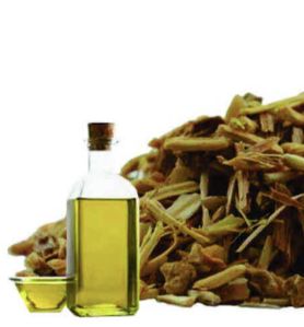 shatavari oil