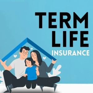Term Life Insurance Services