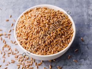 Brown Wheat Grains