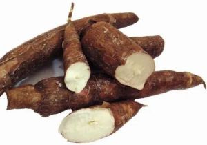 Cassava Root