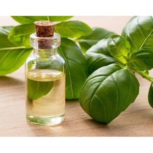 Basil Oil