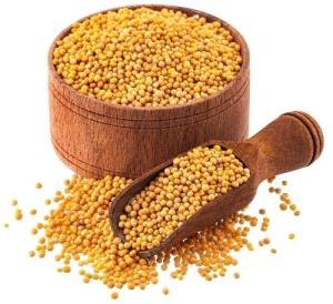 Yellow Mustard Seeds