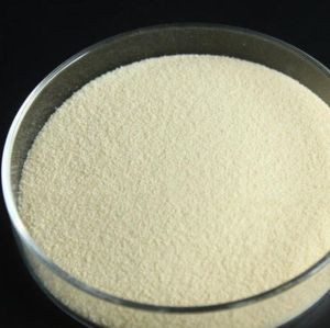 DL Methionine Powder