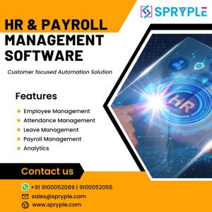 Payroll Management Services