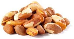 Raw Brazil Nuts