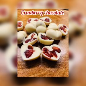 Cranberry Chocolate