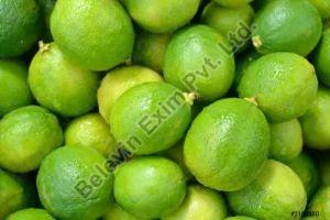 A Grade Green Lemon