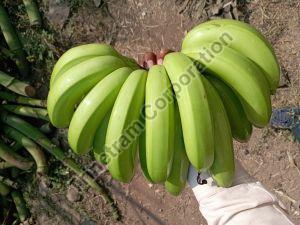 13 Kg G9 Cavendish Banana