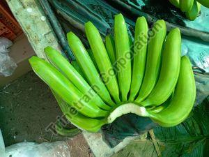 13 Kg G9 Cavendish Banana