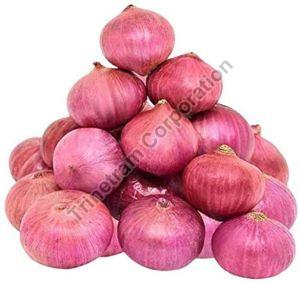 A Grade Pink Onion
