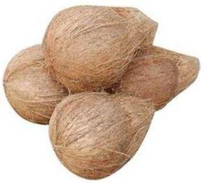 Husked Coconut