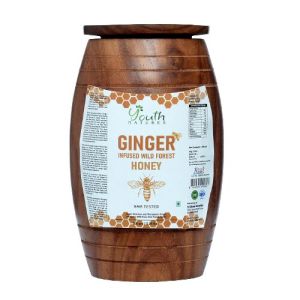 YOUTH NATURES - Pure Ginger Infused Honey 500ML