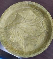 sal leaf plate
