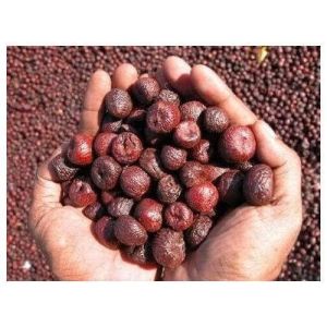 Red Areca Nuts