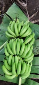 Green Banana