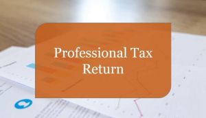 Professional Tax Return Filing Service