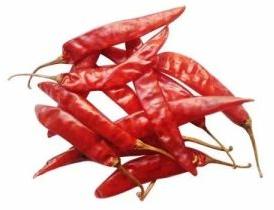 Raw Red Chilli