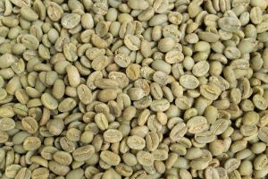 Arabica Coffee Beans