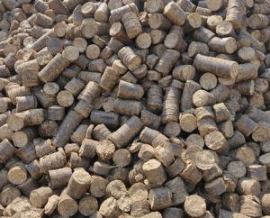 Biomass Briquettes