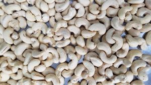 Cashew Kernel