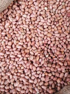 Groundnut Seeds