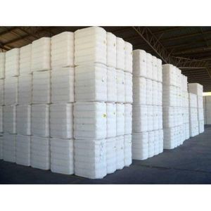 Cotton Bales