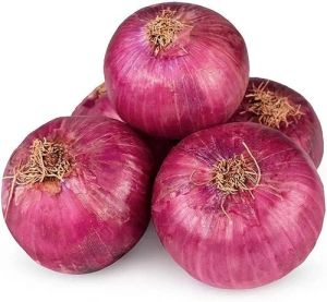 A Grade Big Red Onion