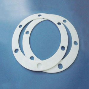 fep gasket