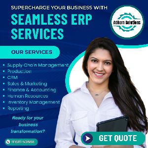 Erp Services