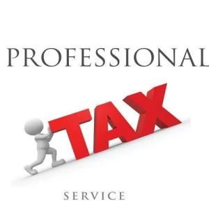 Professional Income Tax Return Service