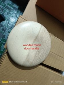 Moon door handle