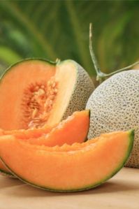 Muskmelon