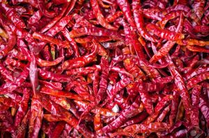 Dry Red Chili