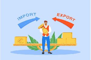 import export license service