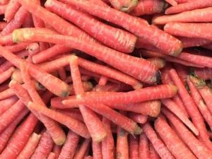 Fresh Carrot