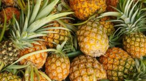 Fresh Pineapple