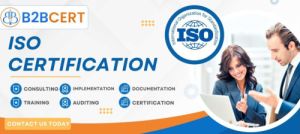 ISO Consultants